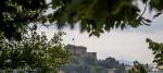 16° Trofeo Città di Gorizia